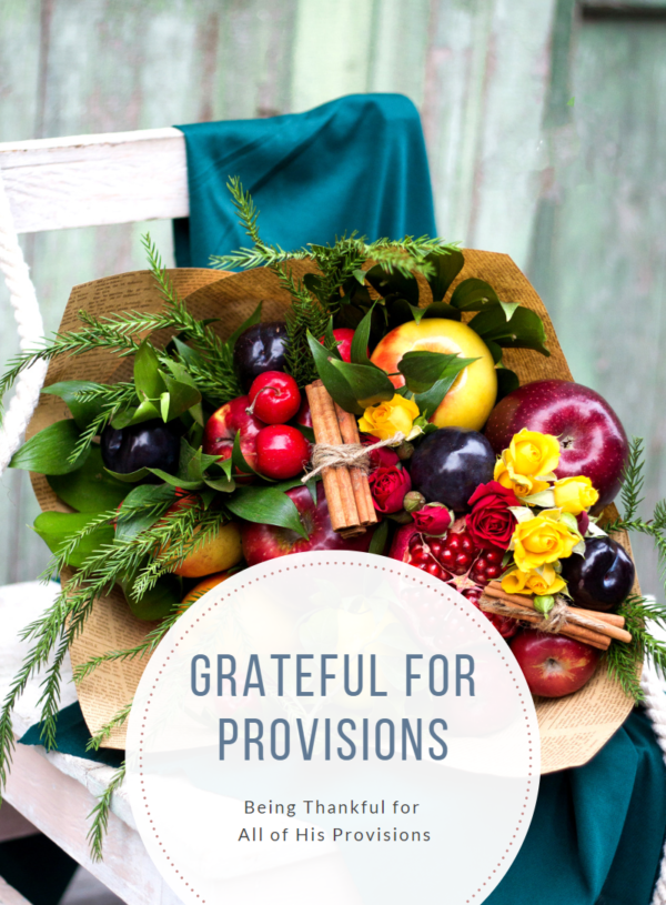 Grateful for Provisions