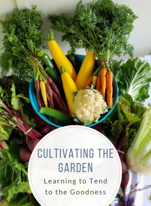 Cultivating the Garden
