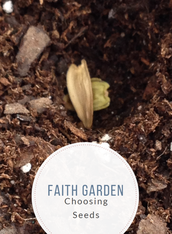 Faith Garden
