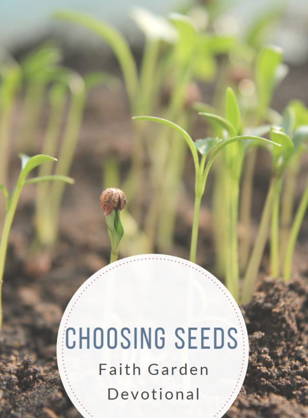 Choosing Seeds Devotional