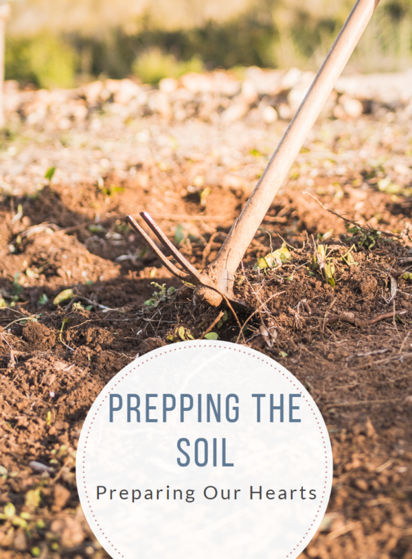 Prepping the Soil